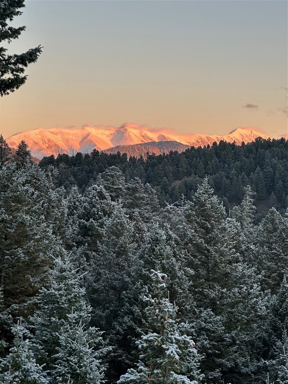 Timberline Creek - Residential