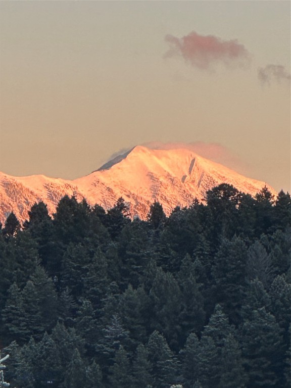 Timberline Creek - Residential