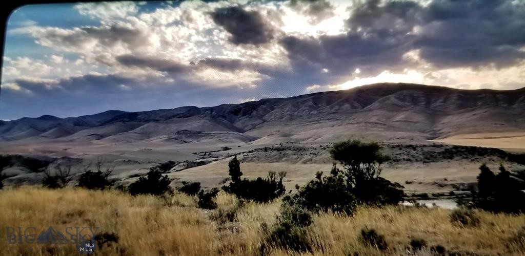 Ponderosa Pines - Land