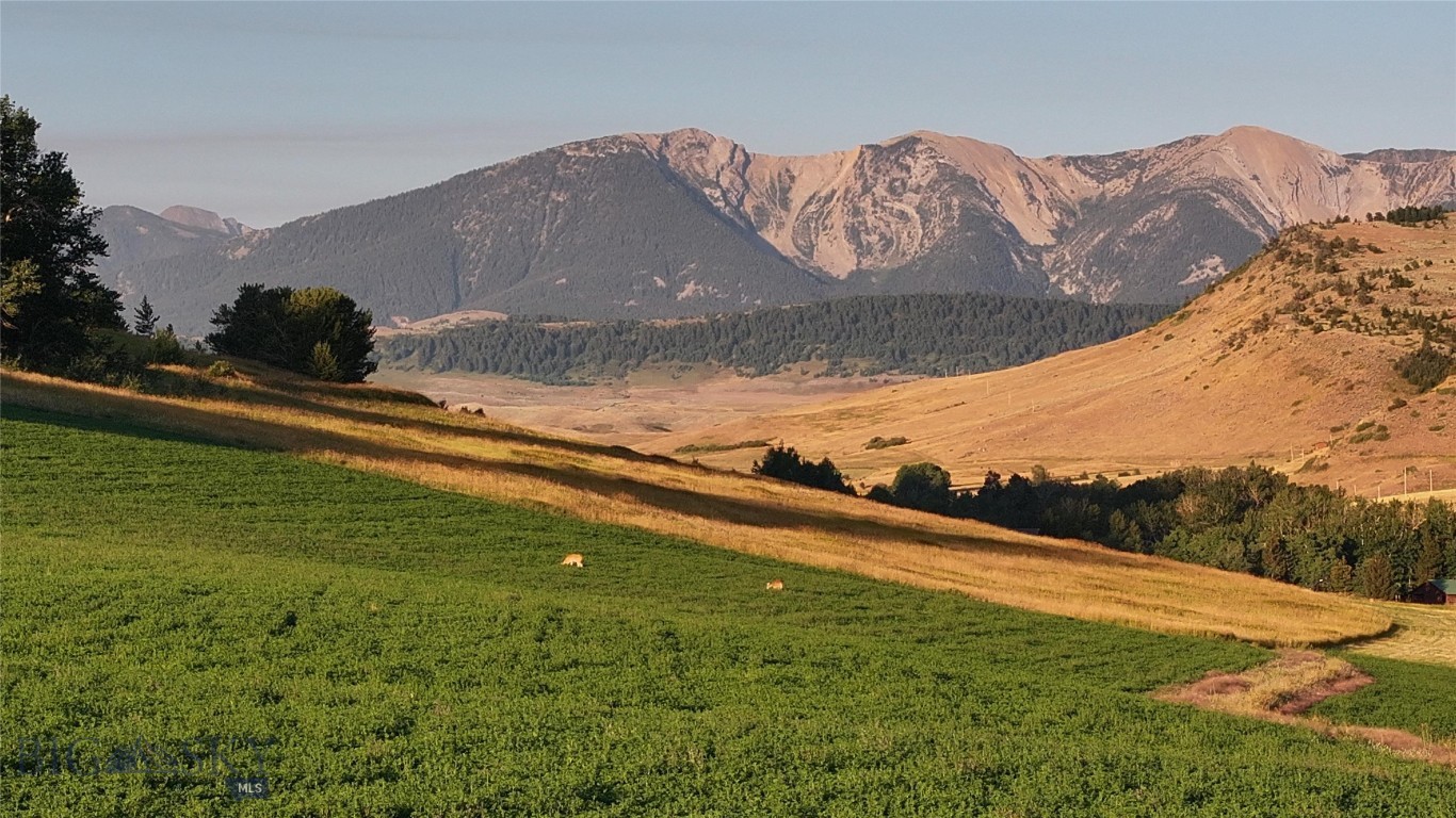 Other - Land
