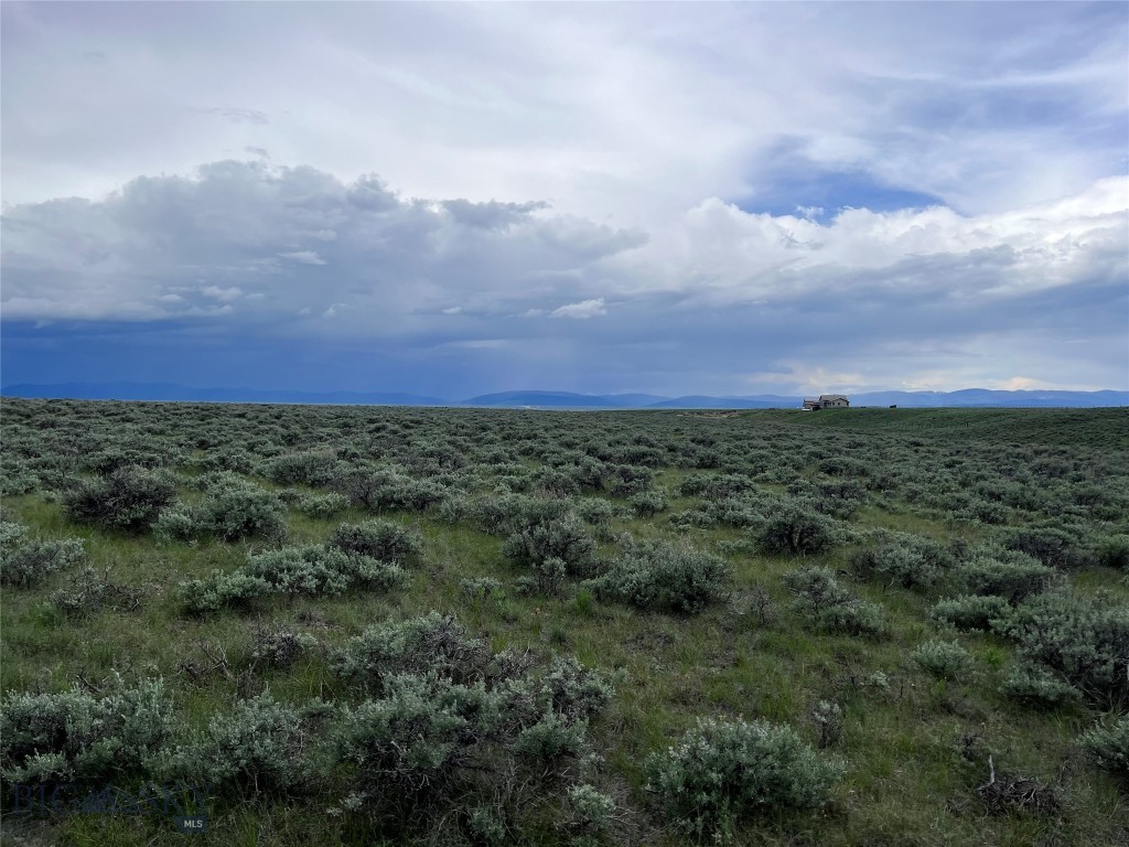 Located in the heart of Big Hole Country near the small quaint town of Wisdom, MT are a cluster of 20+ acre parcels that will make you an excellent location for your new home. Some parcels are bordered by a ranch under a conservation easement helping to protect magnificent mountain views, seclusion and privacy. Call listing agent for a full list of available lots!! Sub-division accessed by the county maintained Steel Creek Road, you are only minutes from National Forest lands adding tens of thousands of acres awaiting your exploration. The historic Big Hole Battlefield, Elkhorn Hot Springs, Jackson Hot Springs, Crystal Park, Chief Joseph Cross Country Ski Trails & Maverick Ski hill, Bannack State Park, Kayaking & Canoeing, River Rafting, and of course.....Montana Blue Ribbon Trout fishing could all be a part of your new playground. The properties have level ground, draws and gently sloping foothills creating interesting topography and power is available in the area and along some lot boundaries. In Montana you don't just buy a property - you purchase a new lifestyle. Don't miss this opportunity to begin your new life today.