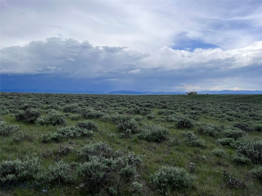 Located in the heart of Big Hole Country near the small quaint town of Wisdom, MT are a cluster of 20+ acre parcels that will make you an excellent location for your new home. Some parcels are bordered by a ranch under a conservation easement helping to protect magnificent mountain views, seclusion and privacy. Call listing agent for a full list of available lots!! Sub-division accessed by the county maintained Steel Creek Road, you are only minutes from National Forest lands adding tens of thousands of acres awaiting your exploration. The historic Big Hole Battlefield, Elkhorn Hot Springs, Jackson Hot Springs, Crystal Park, Chief Joseph Cross Country Ski Trails & Maverick Ski hill, Bannack State Park, Kayaking & Canoeing, River Rafting, and of course.....Montana Blue Ribbon Trout fishing could all be a part of your new playground. The properties have level ground, draws and gently sloping foothills creating interesting topography and power is available in the area and along some lot boundaries. In Montana you don't just buy a property - you purchase a new lifestyle. Don't miss this opportunity to begin your new life today.