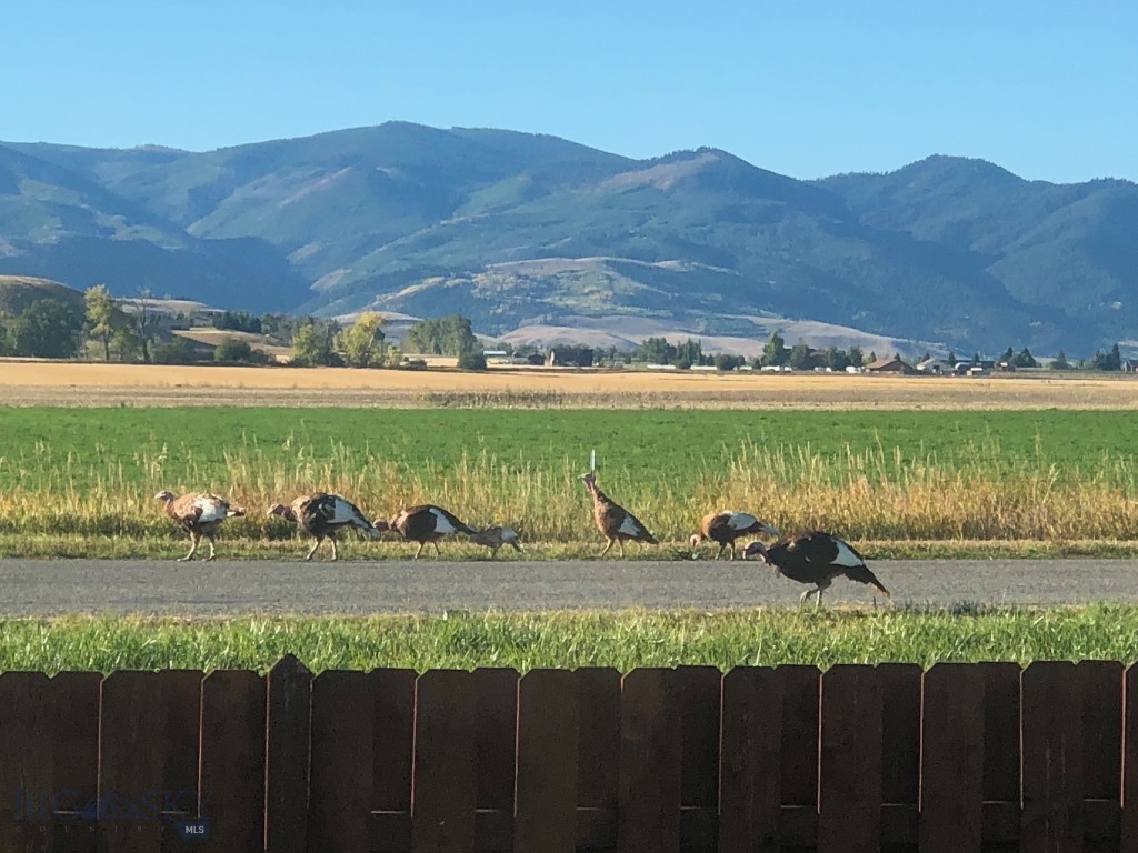 Bozeman, Montana 59718, United States, 5 Bedrooms Bedrooms, ,3 BathroomsBathrooms,Residential,Contingent,63948