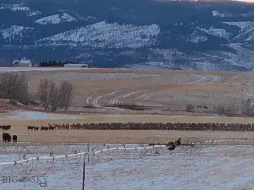 Bozeman, Montana 59718, United States, 5 Bedrooms Bedrooms, ,3 BathroomsBathrooms,Residential,Contingent,63948