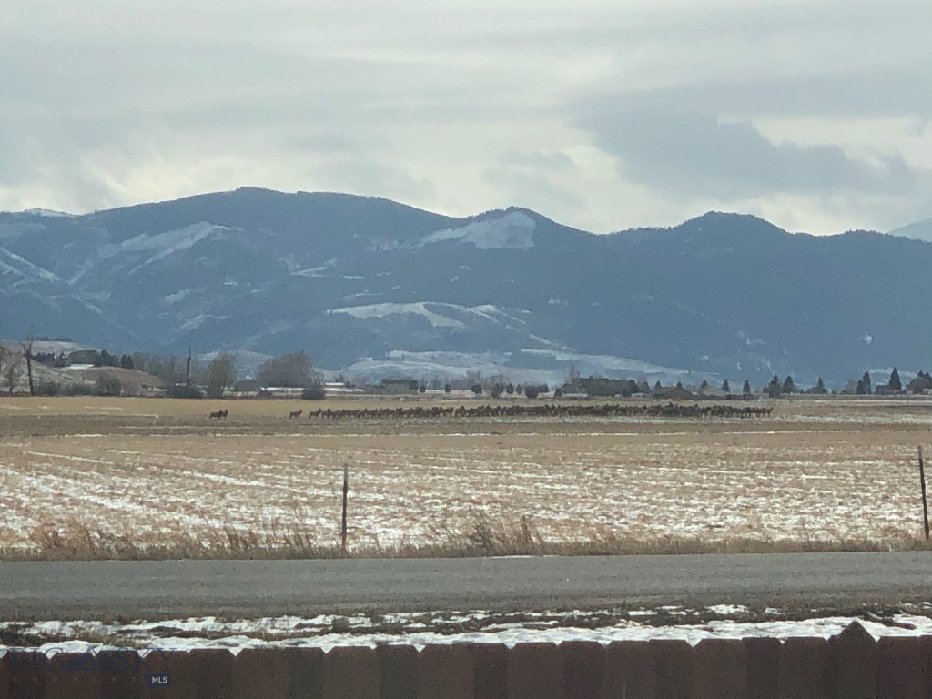 Bozeman, Montana 59718, United States, 5 Bedrooms Bedrooms, ,3 BathroomsBathrooms,Residential,Contingent,63948