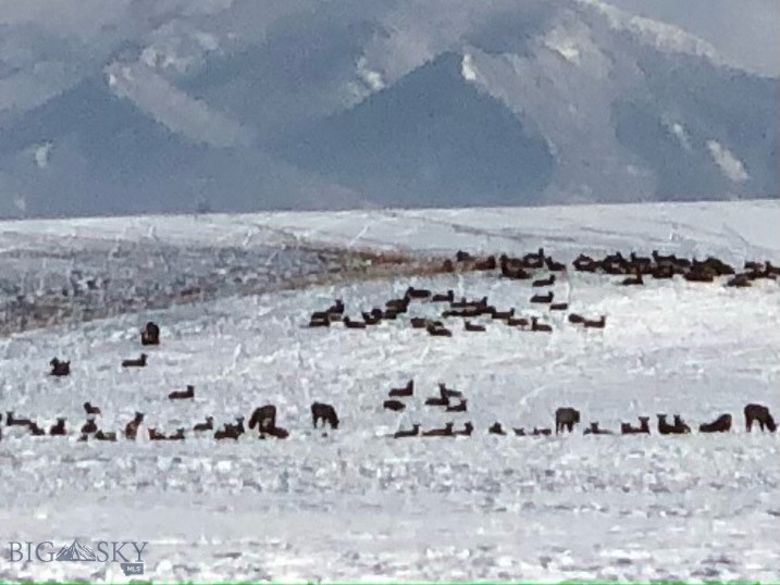 Bozeman, Montana 59718, United States, 5 Bedrooms Bedrooms, ,3 BathroomsBathrooms,Residential,Contingent,63948