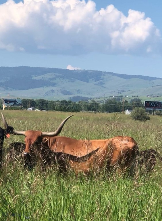 Bozeman, Montana 59718, United States, 5 Bedrooms Bedrooms, ,3 BathroomsBathrooms,Residential,Contingent,63948