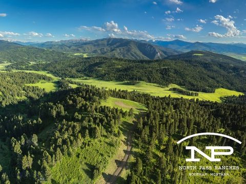 Photo of Ranch 3 North Pass Ranches, Bozeman, MT 59715 (MLS # 395402)