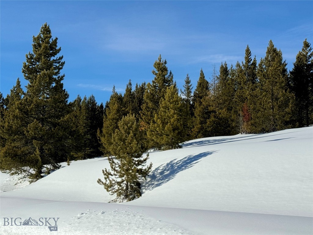 32 BEEHIVE BASIN ROAD LOT 235