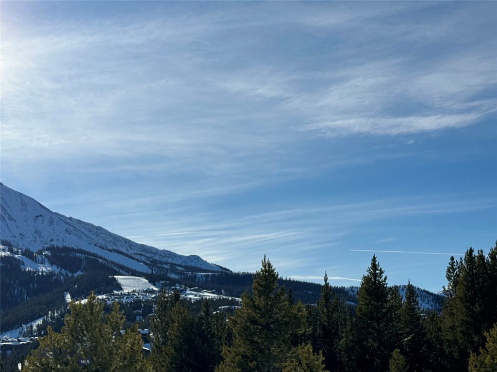 32 BEEHIVE BASIN ROAD LOT 235