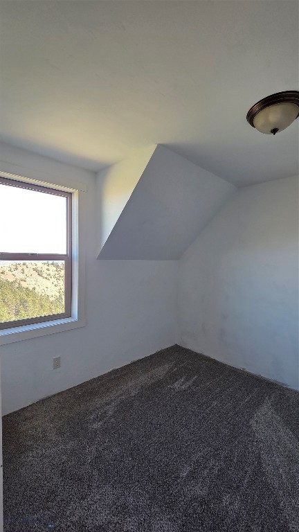 Ponderosa Pines - Residential