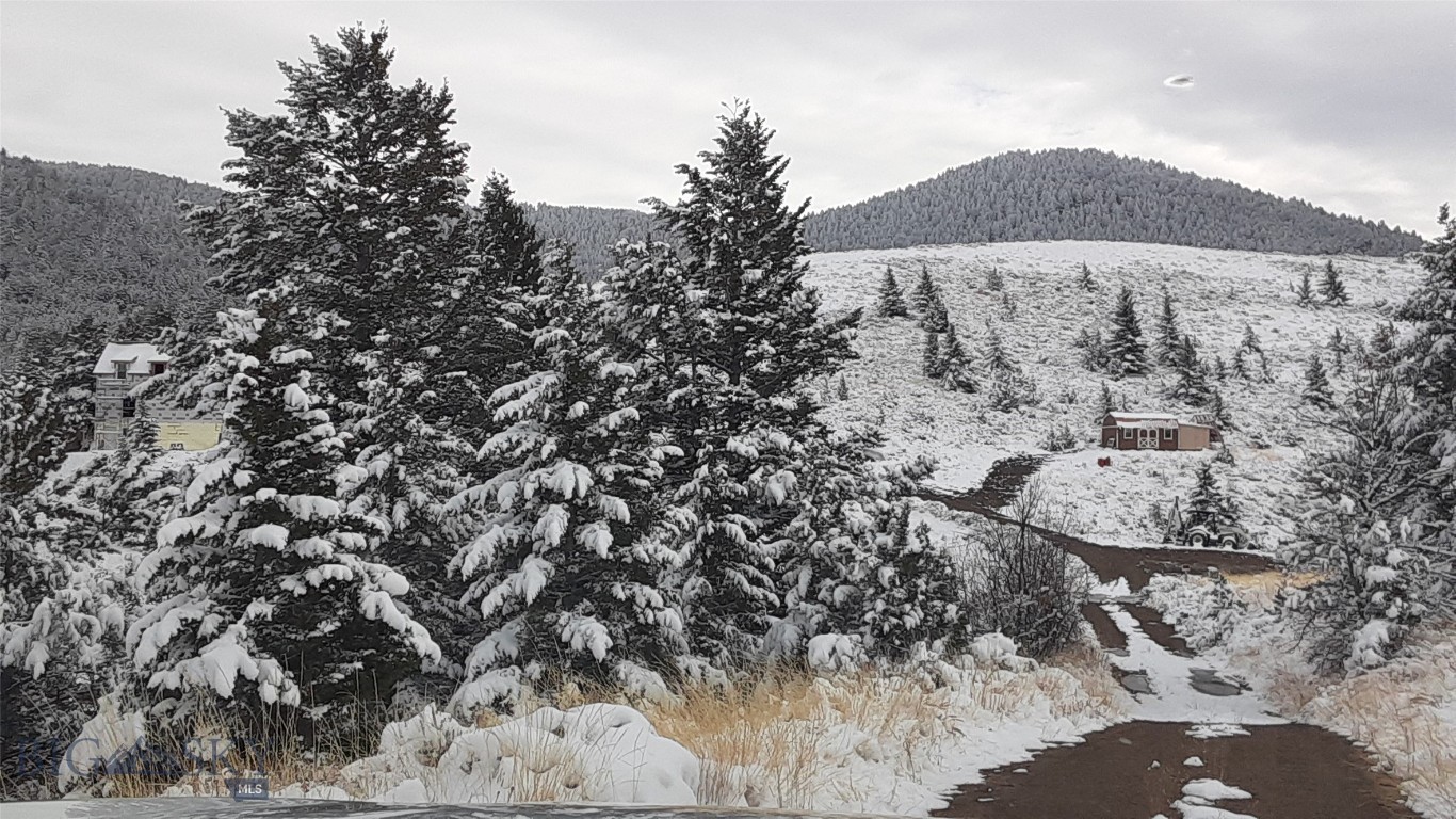 Ponderosa Pines - Residential