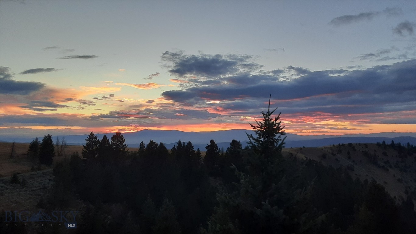 Ponderosa Pines - Residential