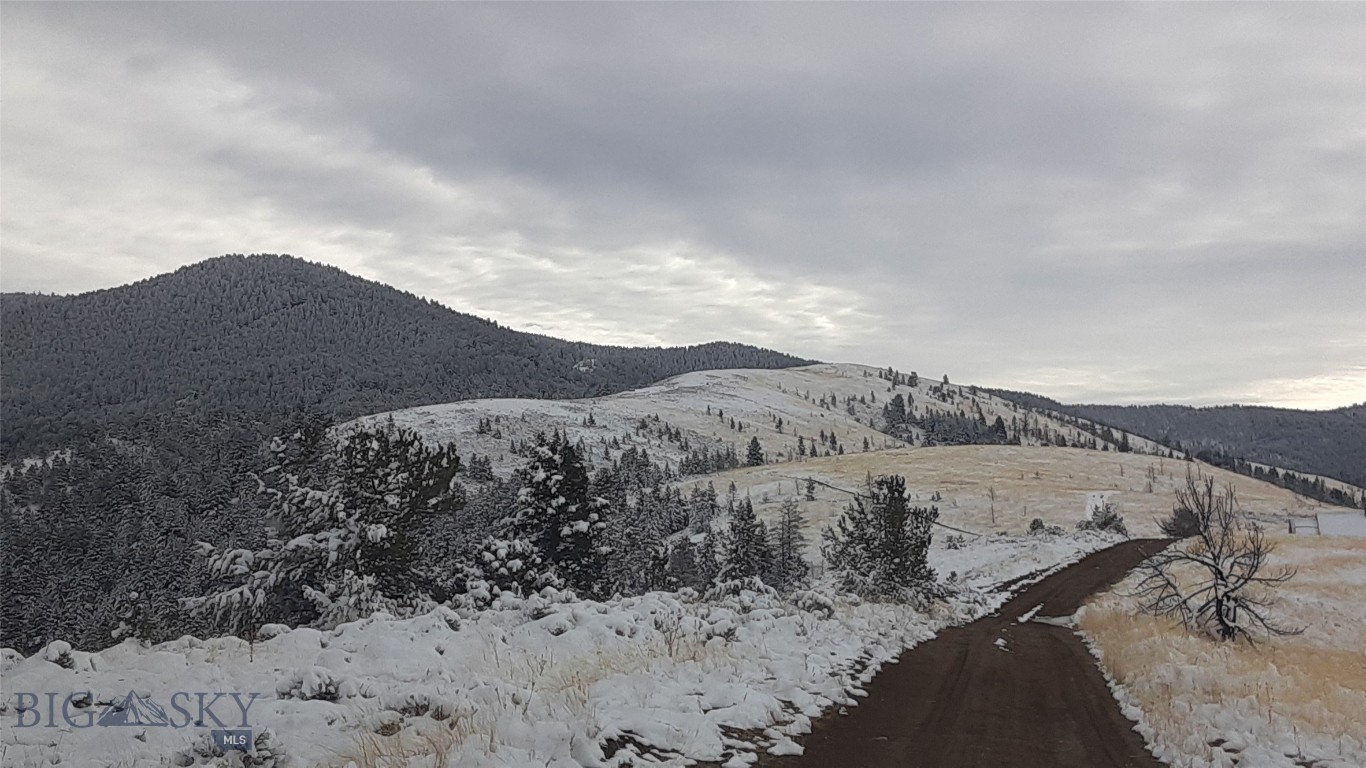 Ponderosa Pines - Residential