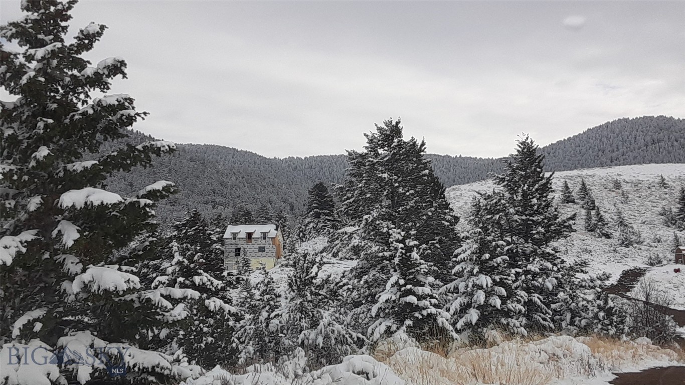 Ponderosa Pines - Residential