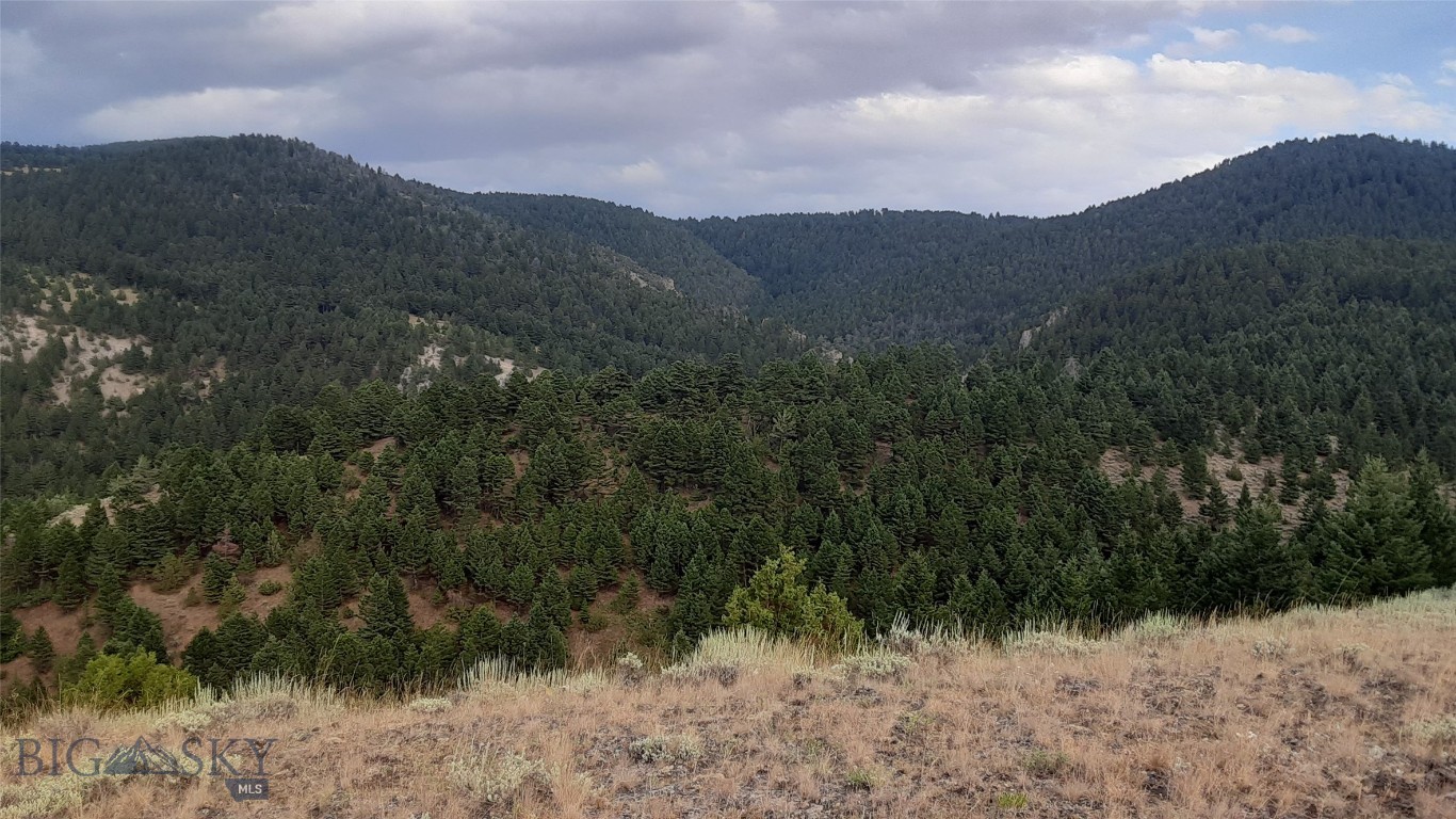 Ponderosa Pines - Residential