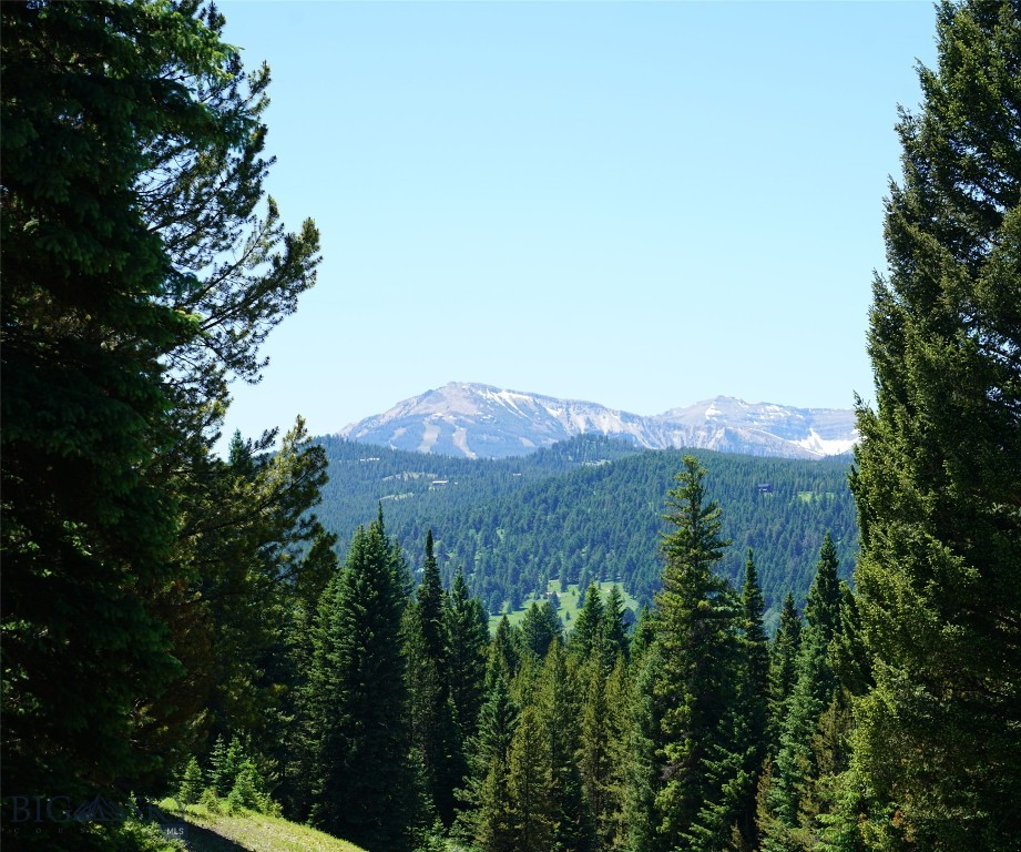 Big Sky, Montana 59716, United States, ,Land,Active,64366