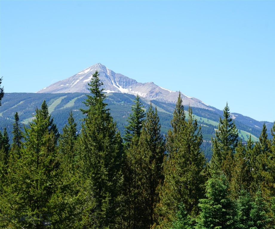 Big Sky, Montana 59716, United States, ,Land,Active,64366