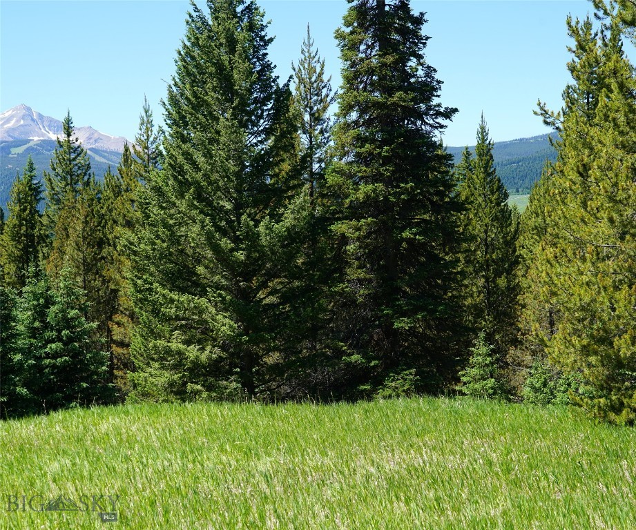 Big Sky, Montana 59716, United States, ,Land,Active,64366