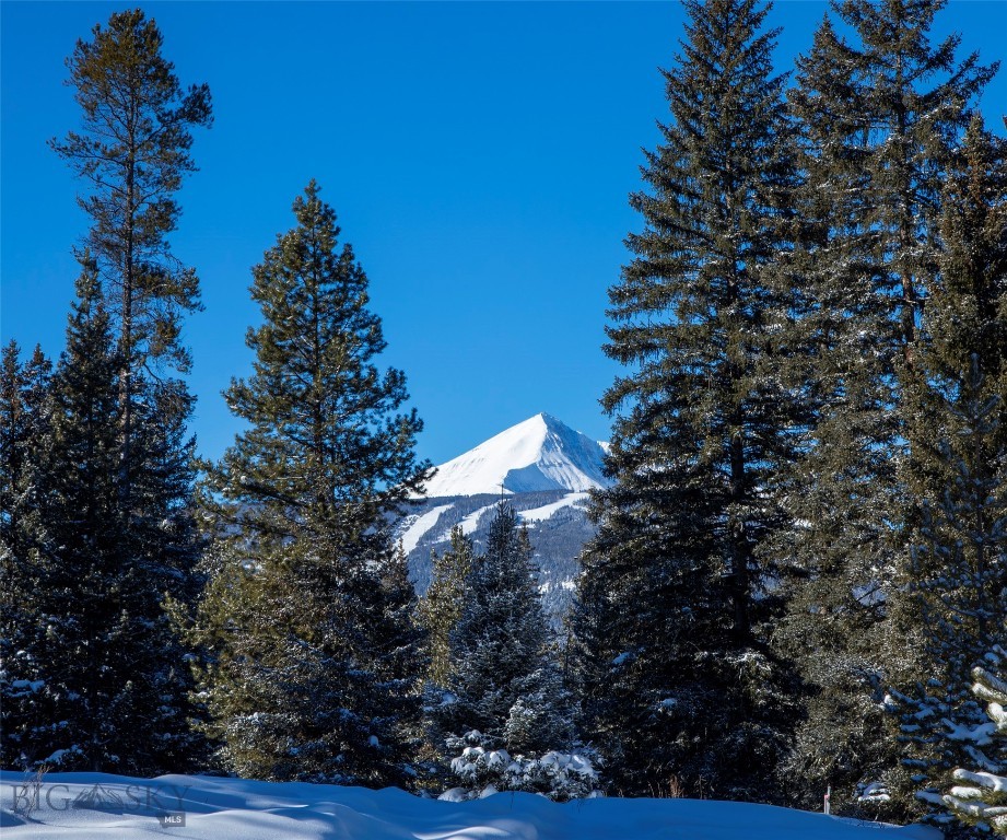 Big Sky, Montana 59716, United States, ,Land,Active,64366