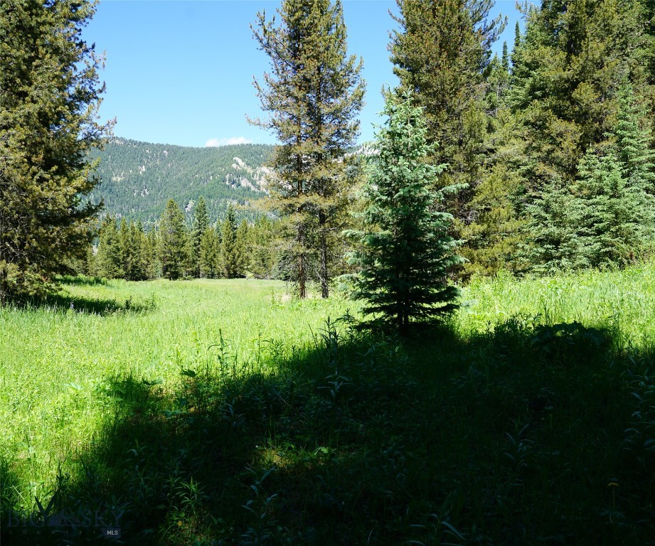 Big Sky, Montana 59716, United States, ,Land,Active,64366