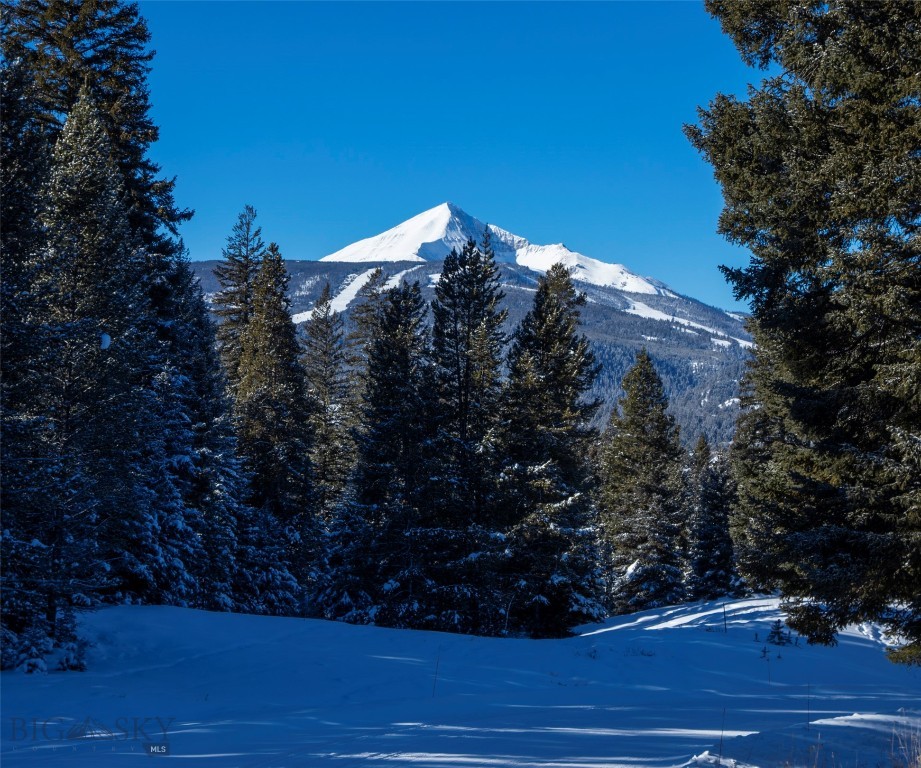 Big Sky, Montana 59716, United States, ,Land,Active,64366