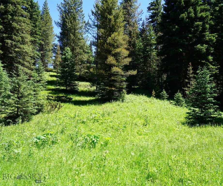 Big Sky, Montana 59716, United States, ,Land,Active,64366