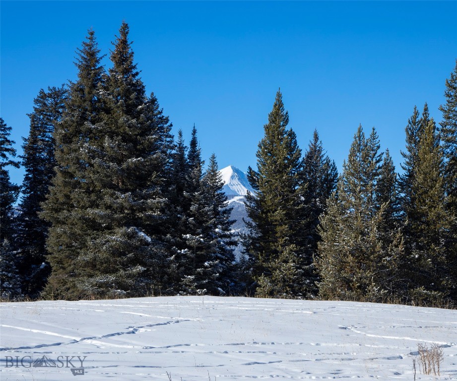 Big Sky, Montana 59716, United States, ,Land,Active,64366