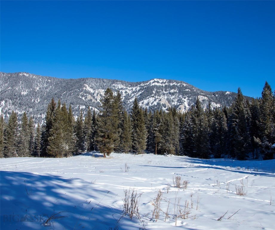 Big Sky, Montana 59716, United States, ,Land,Active,64366