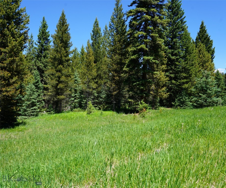 Big Sky, Montana 59716, United States, ,Land,Active,64366