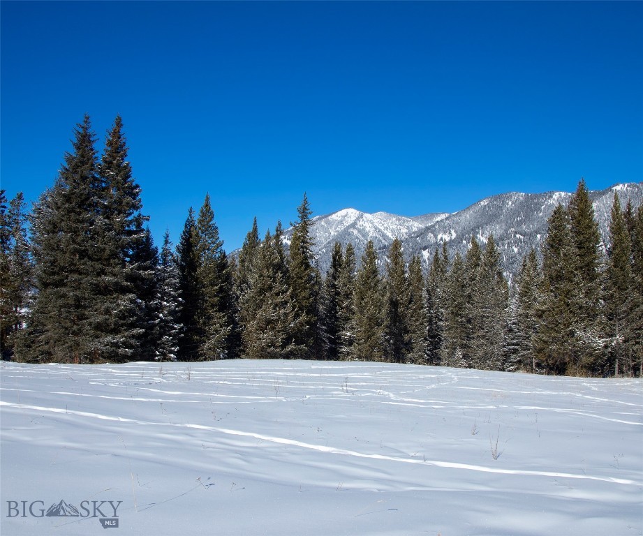 Big Sky, Montana 59716, United States, ,Land,Active,64366