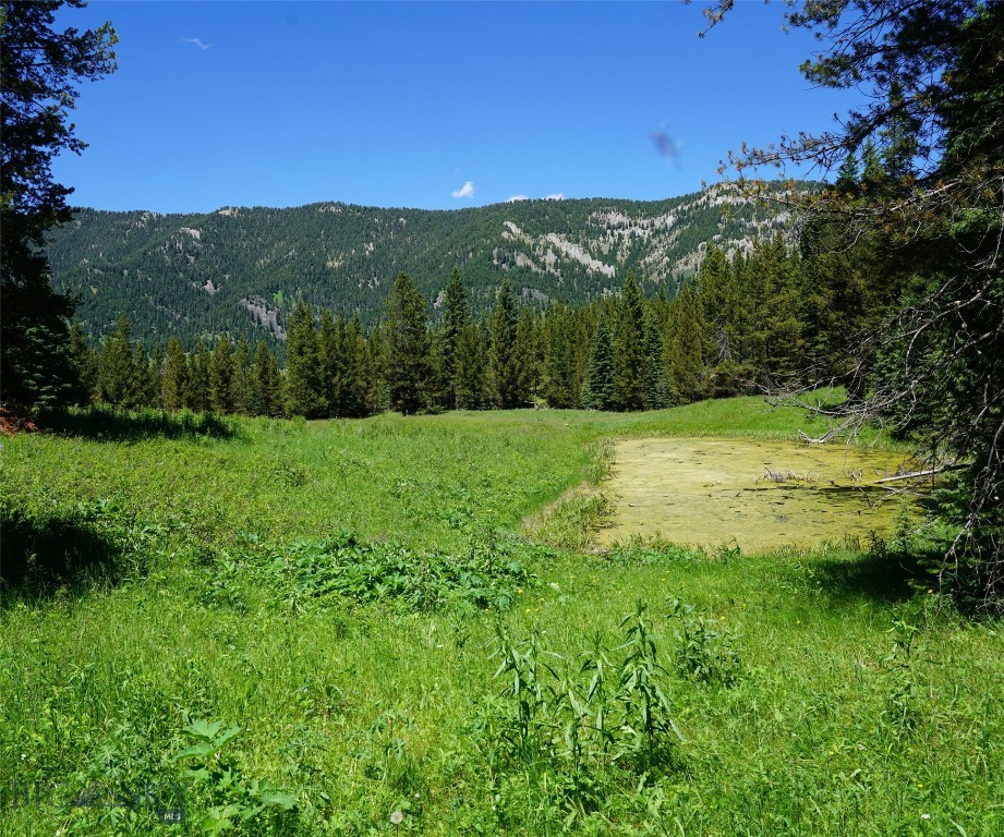 Big Sky, Montana 59716, United States, ,Land,Active,64366