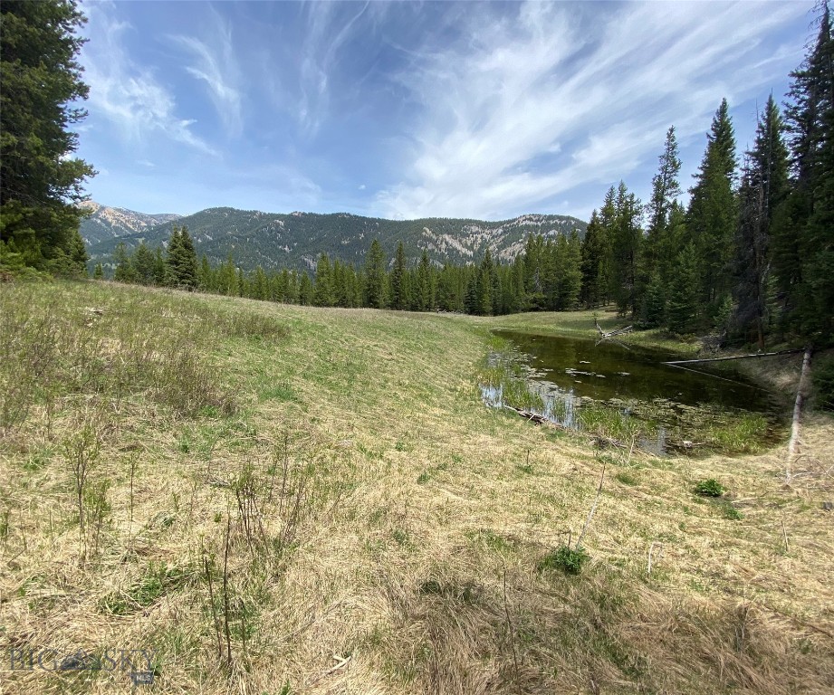 Big Sky, Montana 59716, United States, ,Land,Active,64366
