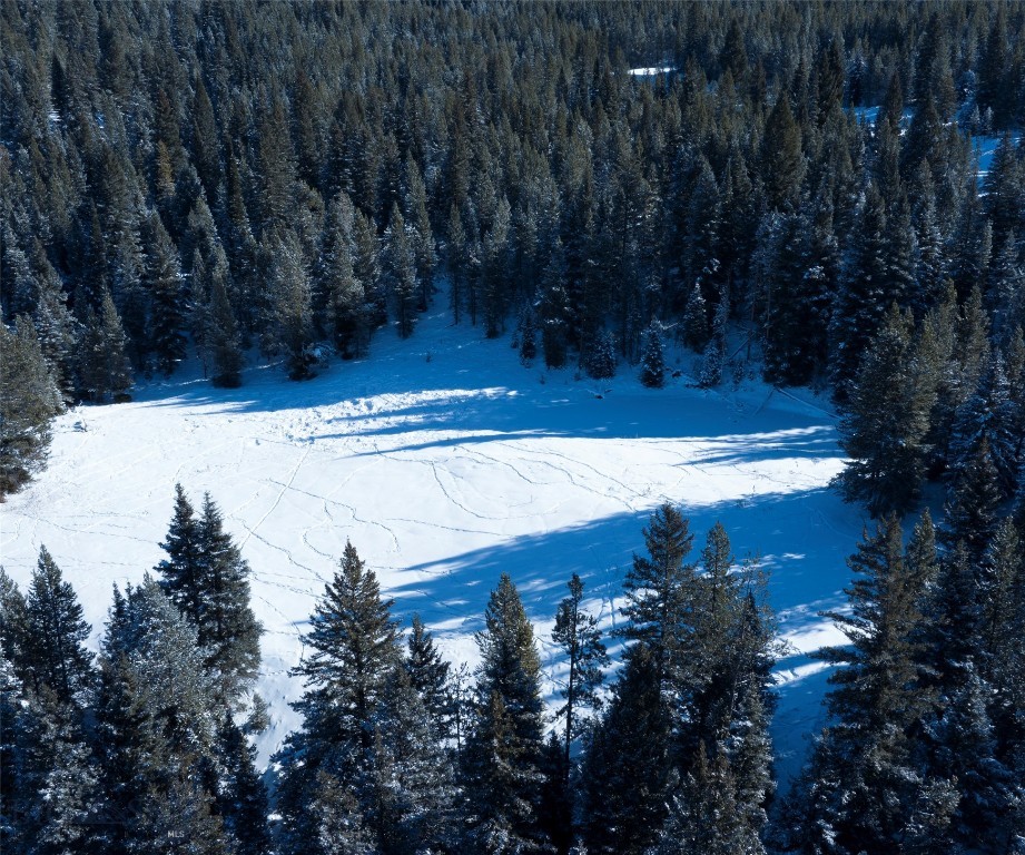 Big Sky, Montana 59716, United States, ,Land,Active,64366