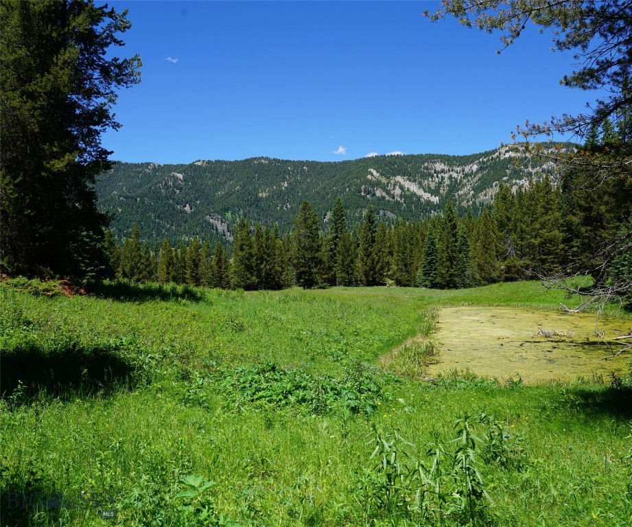 Big Sky, Montana 59716, United States, ,Land,Active,64366