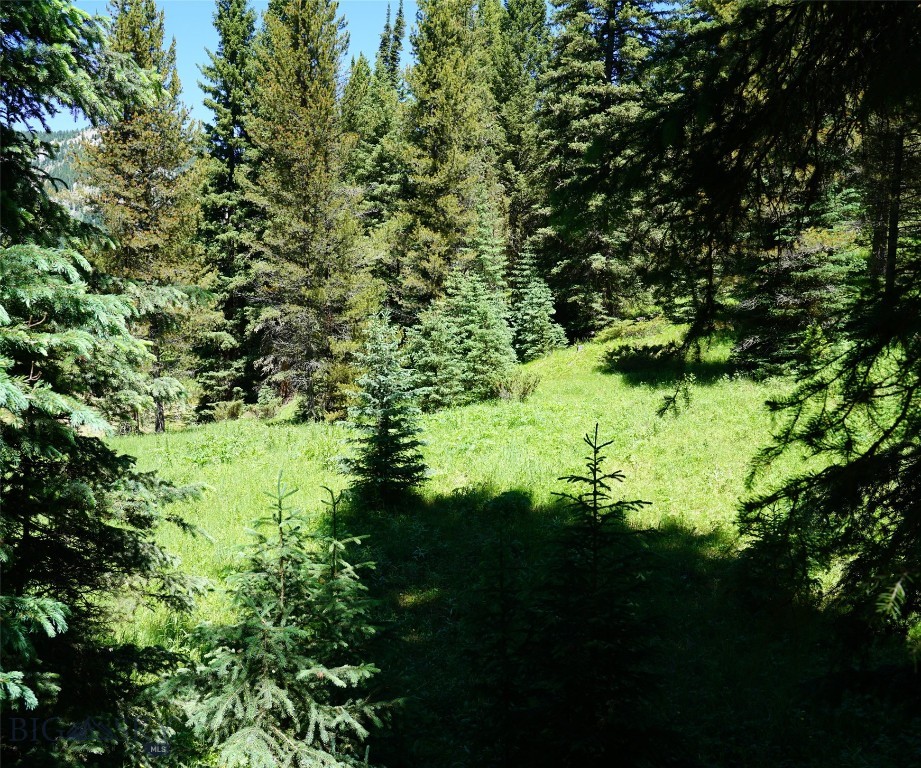Big Sky, Montana 59716, United States, ,Land,Active,64366