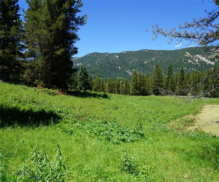 Big Sky, Montana 59716, United States, ,Land,Active,64366