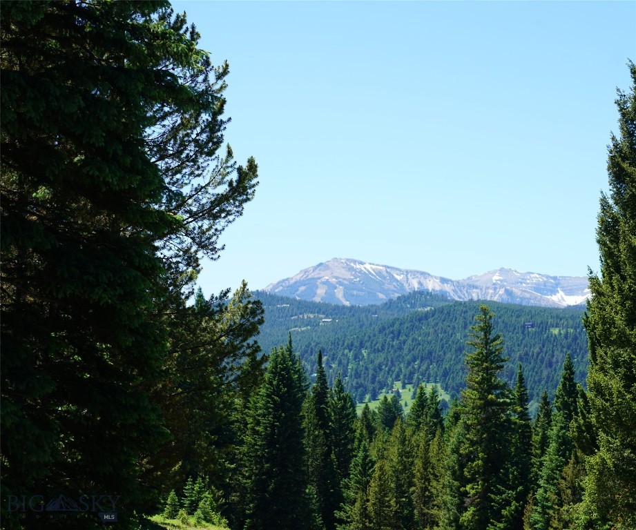 Big Sky, Montana 59716, United States, ,Land,Active,64366
