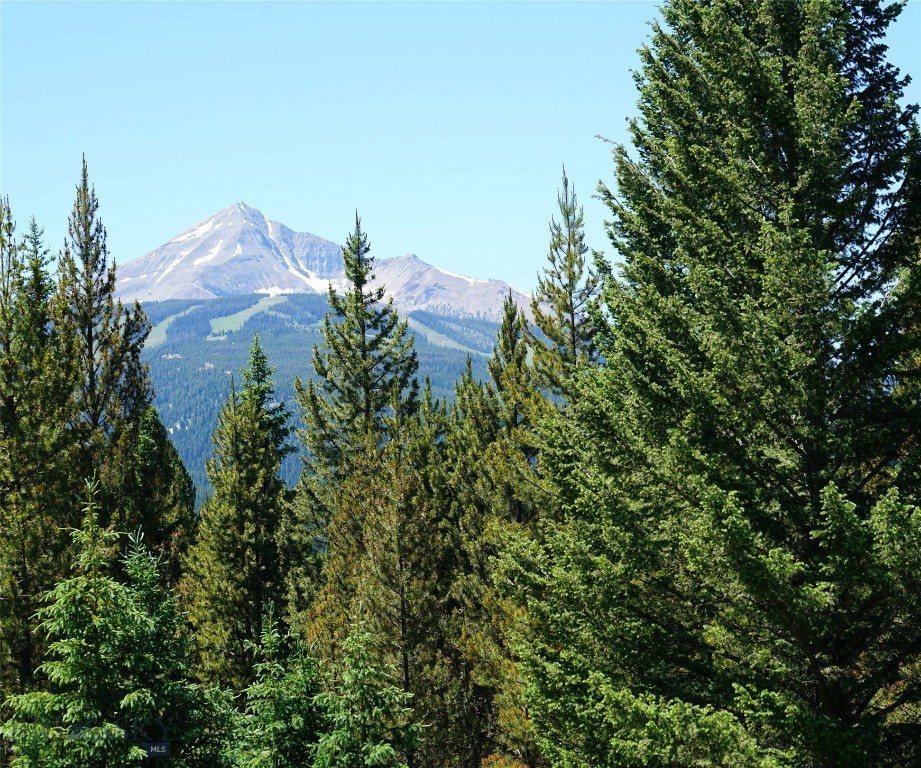 Big Sky, Montana 59716, United States, ,Land,Active,64366