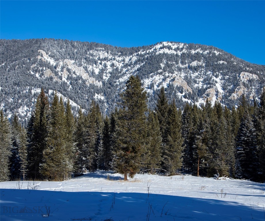 Big Sky, Montana 59716, United States, ,Land,Active,64366