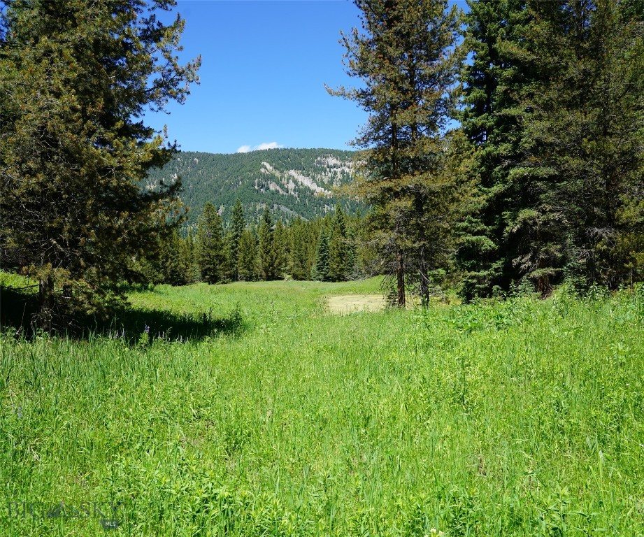 Big Sky, Montana 59716, United States, ,Land,Active,64366
