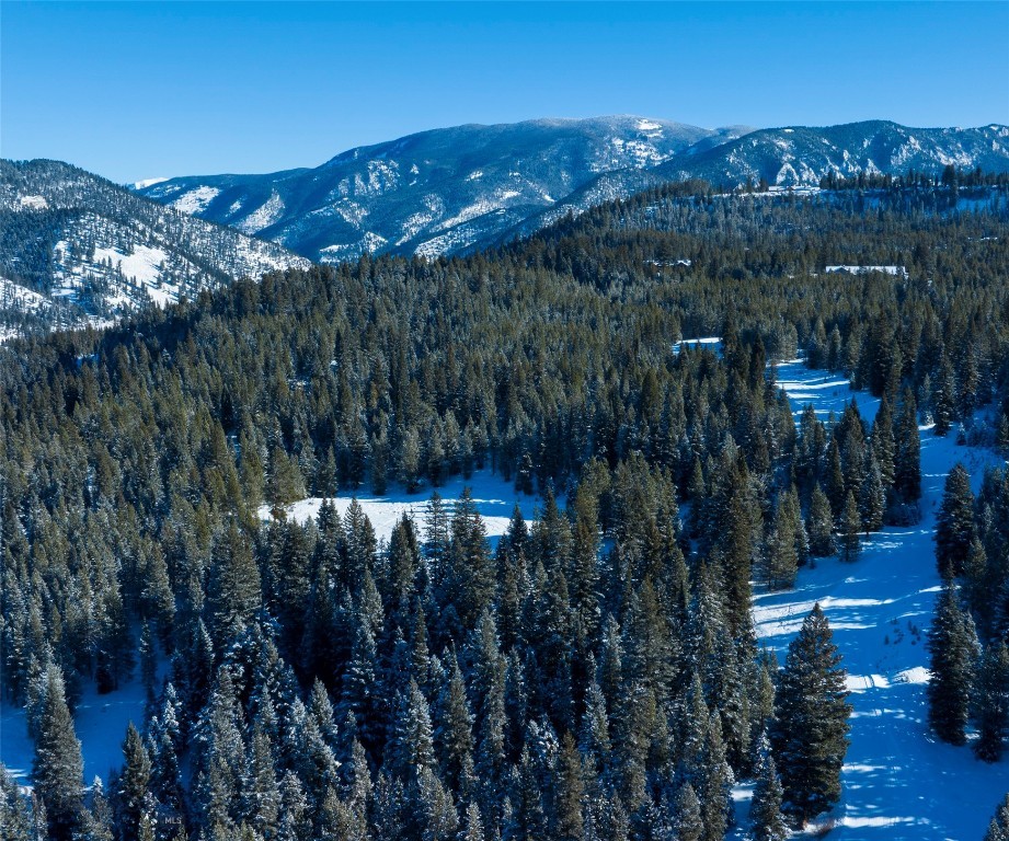 Big Sky, Montana 59716, United States, ,Land,Active,64366