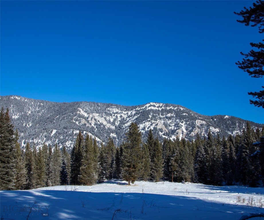 Big Sky, Montana 59716, United States, ,Land,Active,64366