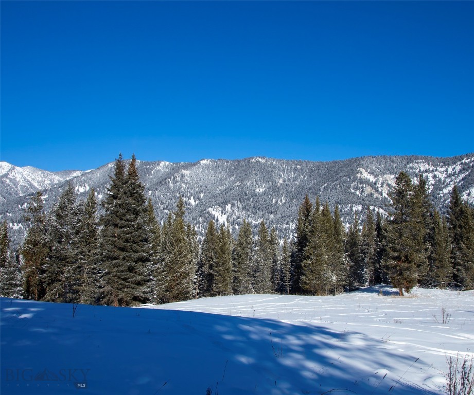 Big Sky, Montana 59716, United States, ,Land,Active,64366
