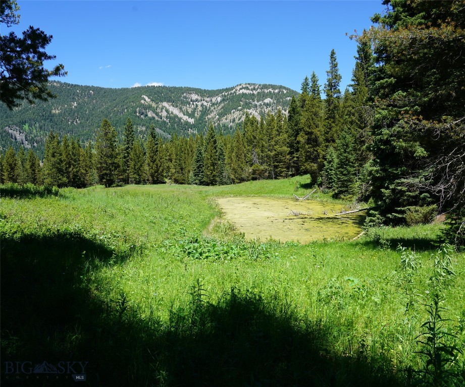 Big Sky, Montana 59716, United States, ,Land,Active,64366