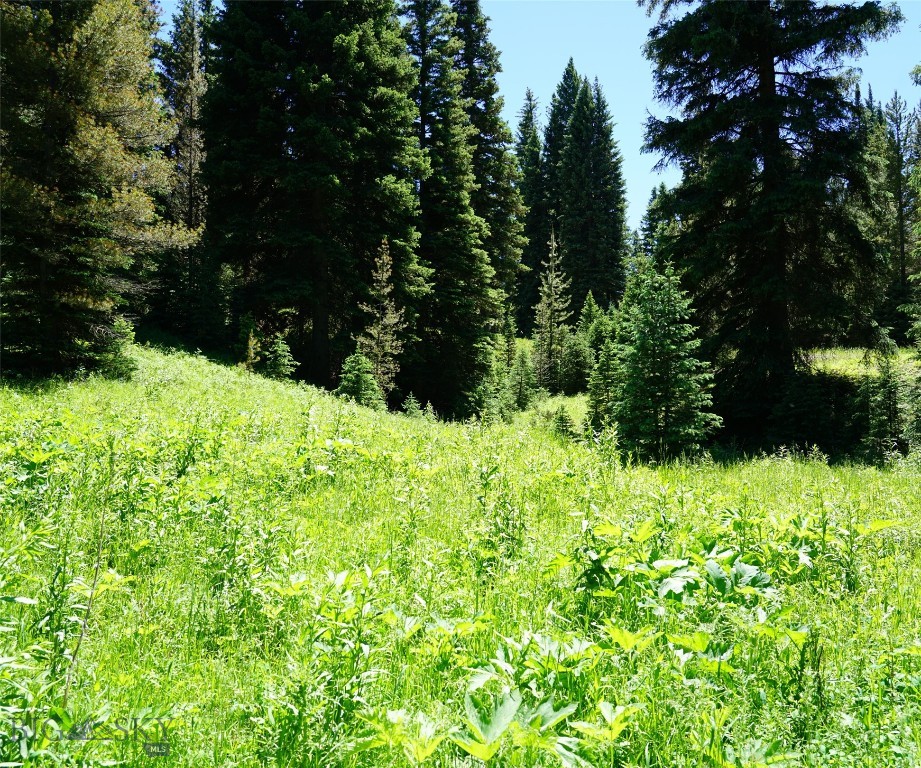 Big Sky, Montana 59716, United States, ,Land,Active,64366