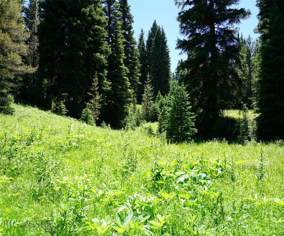 Big Sky, Montana 59716, United States, ,Land,Active,64366