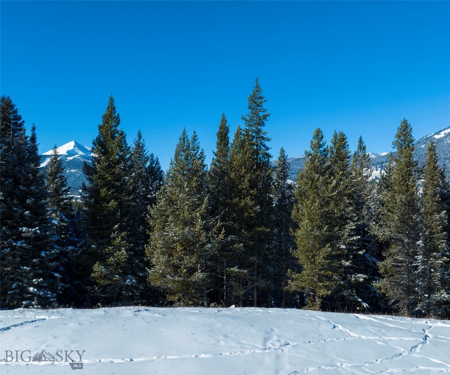 Big Sky, Montana 59716, United States, ,Land,Active,64366