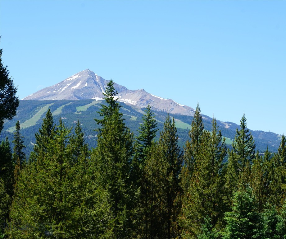 Big Sky, Montana 59716, United States, ,Land,Active,64366