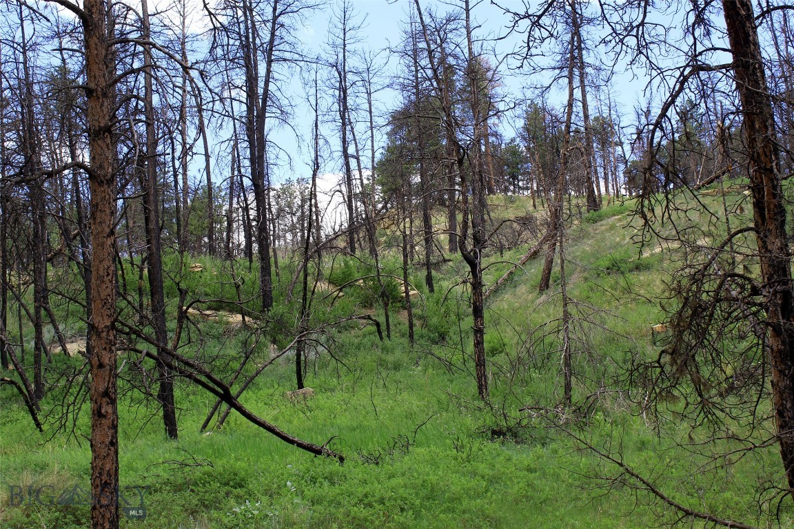 Other - Land